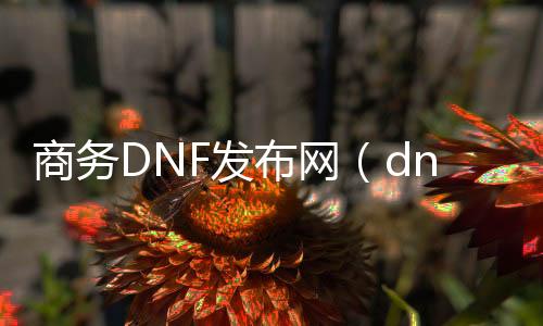 商务DNF发布网（dnf私人服务器）