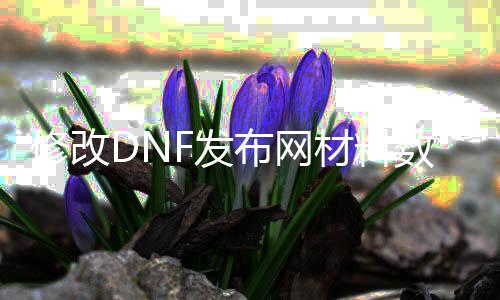 修改DNF发布网材料数量（dnf可以材料变更）