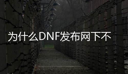 为什么DNF发布网下不了