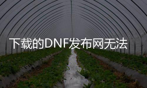 下载的DNF发布网无法登录（dnf下载后登录不上去）