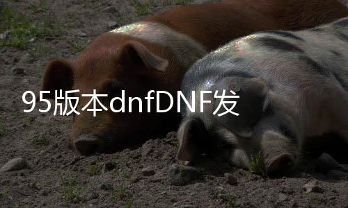 95版本dnfDNF发布网与勇士私服（95版本dnf哪个角色比较厉害）