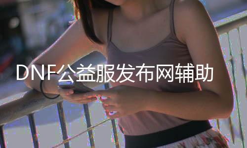 DNF公益服发布网辅助原理解析,如何使用DNF公益服发布网辅助