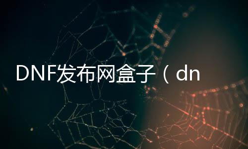 DNF发布网盒子（dnf盒子app）