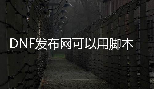 DNF发布网可以用脚本吗
