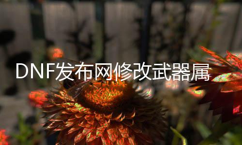 DNF发布网修改武器属性（dnf怎么改武器属性）