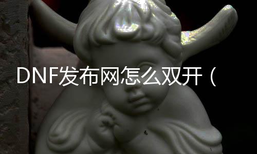 DNF发布网怎么双开（DNF发布网双开的软件叫什么）