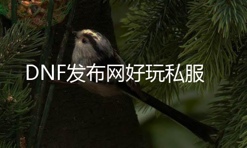 DNF发布网好玩私服