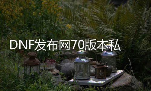 DNF发布网70版本私服送特效装备（DNF发布网70装备怎么弄）