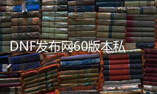 DNF发布网60版本私服服装（DNF发布网60版本服务端下载）