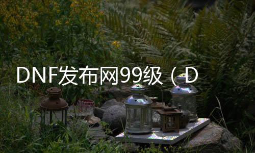 DNF发布网99级（DNF发布网99.99%）