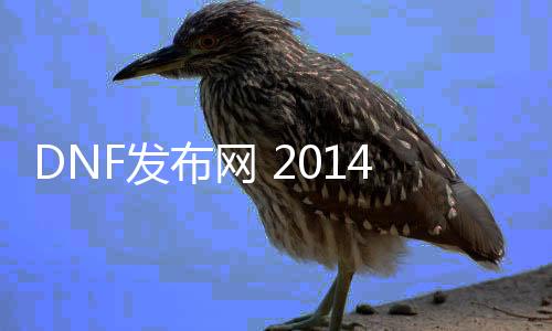 DNF发布网 2014