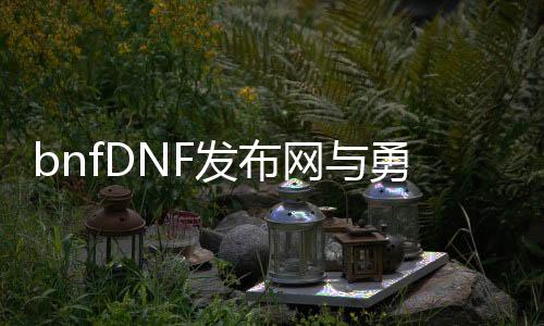 bnfDNF发布网与勇士私服