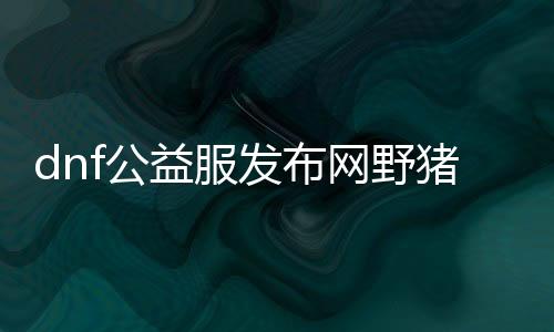 dnf公益服发布网野猪套如何获取,dnf公益服发布网野猪套制作攻略