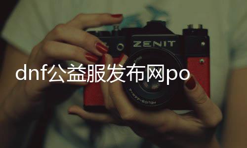 dnf公益服发布网pop辅助下载（dnf公益服发布网最新版辅助）