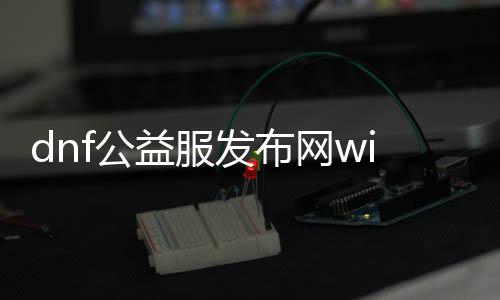 dnf公益服发布网win10玩不了（dnf公益服发布网服务器在哪买）