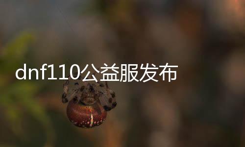 dnf110公益服发布网网（最新开服信息及玩法攻略）