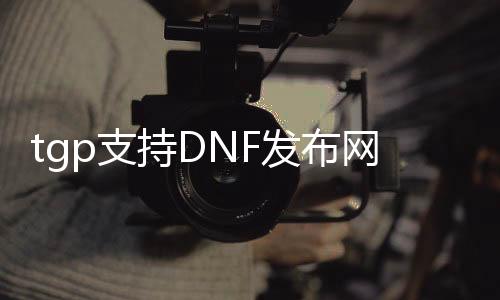 tgp支持DNF发布网吗